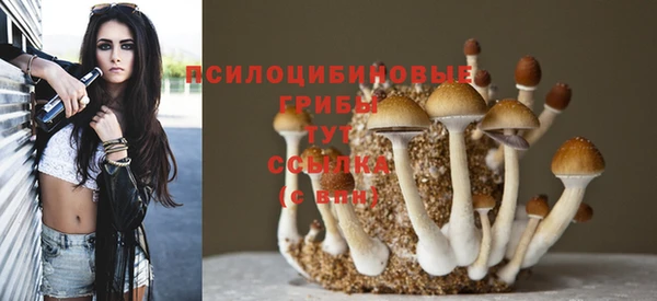 молекула духа Алексин