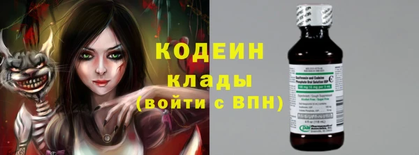 шишки Снежинск