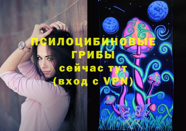 амф Алзамай