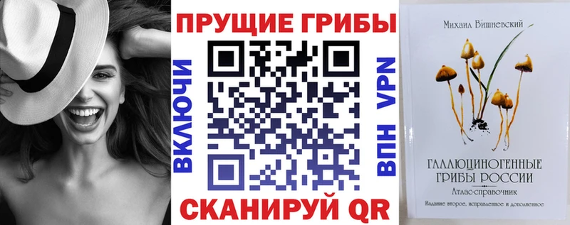 Псилоцибиновые грибы Magic Shrooms  купить закладку  Бабушкин 